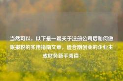 当然可以，以下是一篇关于注册公司后如何做账报税的实用指南文章，适合刚创业的企业主或财务新手阅读：