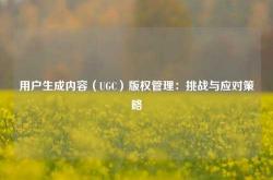 用户生成内容（UGC）版权管理：挑战与应对策略