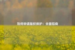 如何申请版权保护：全面指南