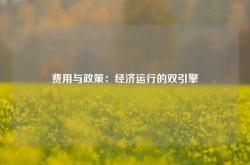 费用与政策：经济运行的双引擎