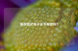 版权登记电子证书有效吗？