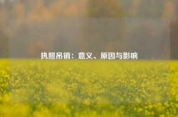 执照吊销：意义、原因与影响
