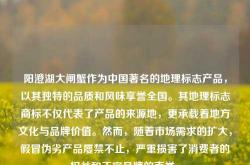 阳澄湖大闸蟹作为中国著名的地理标志产品，以其独特的品质和风味享誉全国。其地理标志商标不仅代表了产品的来源地，更承载着地方文化与品牌价值。然而，随着市场需求的扩大，假冒伪劣产品屡禁不止，严重损害了消费者的权益和正宗品牌的声誉。