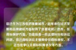 宿迁作为江苏省的重要城市，近年来在经济发展和品牌建设方面取得了显著成就。然而，在商标保护方面，也面临着一些法律纠纷和诉讼问题。宿迁商标诉讼主要集中在商标侵权、不正当竞争以及商标权属争议等方面。