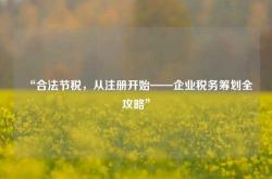 “合法节税，从注册开始——企业税务筹划全攻略”
