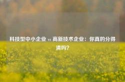科技型中小企业 vs 高新技术企业：你真的分得清吗？