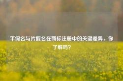 平假名与片假名在商标注册中的关键差异，你了解吗？