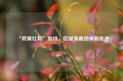 “政策红利”加持，区域发展迎来新机遇