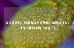 版权登记后，如何有效防止侵权？掌握这几点，让你的作品不再“裸奔”！