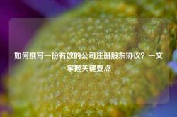 如何撰写一份有效的公司注册股东协议？一文掌握关键要点