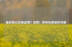 版权登记后被盗用？别慌！教你快速维权攻略