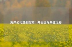 离岸公司注册指南：开启国际商业之路