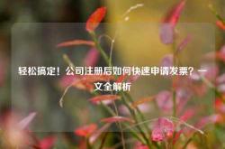 轻松搞定！公司注册后如何快速申请发票？一文全解析