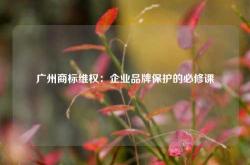 广州商标维权：企业品牌保护的必修课
