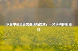 软著申请是否需要现场提交？一文讲清你的疑惑！
