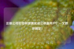 注册公司后如何快速完成公积金开户？一文教你搞定！