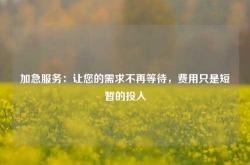 加急服务：让您的需求不再等待，费用只是短暂的投入