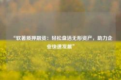 “软著质押融资：轻松盘活无形资产，助力企业快速发展”