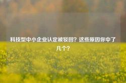 科技型中小企业认定被驳回？这些原因你中了几个？