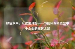 绿色未来，从这里开始——节能环保科技型中小企业的崛起之路