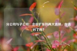 分公司与子公司：企业扩张的两大选择，你选对了吗？