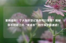 重磅福利！个人版权登记竟然可以免费？揭秘你不可错过的“零成本”创作保护新通道！