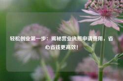 轻松创业第一步：揭秘营业执照申请费用，省心省钱更高效！