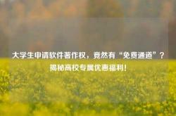 大学生申请软件著作权，竟然有“免费通道”？揭秘高校专属优惠福利！