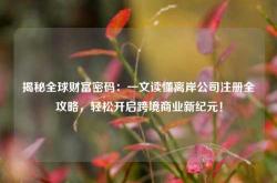 揭秘全球财富密码：一文读懂离岸公司注册全攻略，轻松开启跨境商业新纪元！