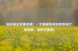 轻松搞定软著申请！一文揭秘如何快速查询代理资质，省时又靠谱！