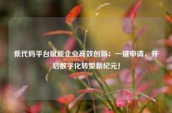 低代码平台赋能企业高效创新：一键申请，开启数字化转型新纪元！