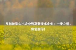 从科技型中小企业到高新技术企业：一步之遥，价值翻倍！