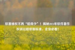 软著维权不再“赔得少”！揭秘2024年软件著作权诉讼赔偿新标准，企业必看！