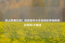 抢占政策红利！科技型中小企业轻松申领政府补贴的5大秘诀