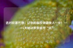 选对软著代理，让你的版权申请快人一步！——6大秘诀教你避开“坑”