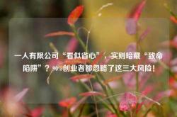 一人有限公司“看似省心”，实则暗藏“致命陷阱”？90%创业者都忽略了这三大风险！