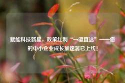 赋能科技新星，政策红利“一键直达”——您的中小企业成长加速器已上线！