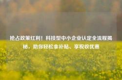 抢占政策红利！科技型中小企业认定全流程揭秘，助你轻松拿补贴、享税收优惠