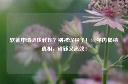 软著申请必找代理？别被误导了！600字内揭秘真相，省钱又高效！