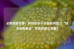 点燃创新引擎，科技型中小企业如何借力“技术创新基金”实现跨越式发展？