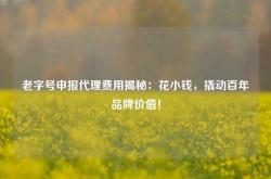 老字号申报代理费用揭秘：花小钱，撬动百年品牌价值！