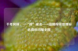 千年风味，一“榨”成名——涪陵榨菜地理标志商标闪耀全国