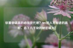 软著申请真的必须找代理？90%的人不知道的真相，省下几千块的秘密曝光！