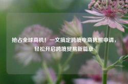 抢占全球商机！一文搞定跨境电商执照申请，轻松开启跨境贸易新篇章