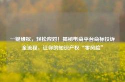一键维权，轻松应对！揭秘电商平台商标投诉全流程，让你的知识产权“零风险”