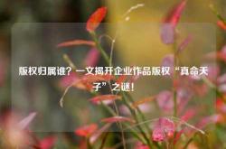 版权归属谁？一文揭开企业作品版权“真命天子”之谜！