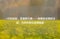 一叶知地标，茶香飘万里——地理标志商标注册，为你的茶叶品牌赋能