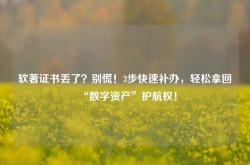 软著证书丢了？别慌！3步快速补办，轻松拿回“数字资产”护航权！