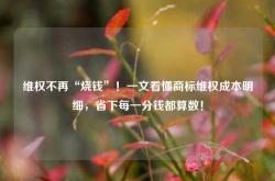 维权不再“烧钱”！一文看懂商标维权成本明细，省下每一分钱都算数！