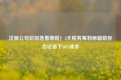 注册公司后别急着缴税！3大税务筹划秘籍助你合法省下30%成本